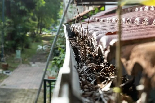 How Often Should You Clean Your Gutters on Long Island and in NYC?